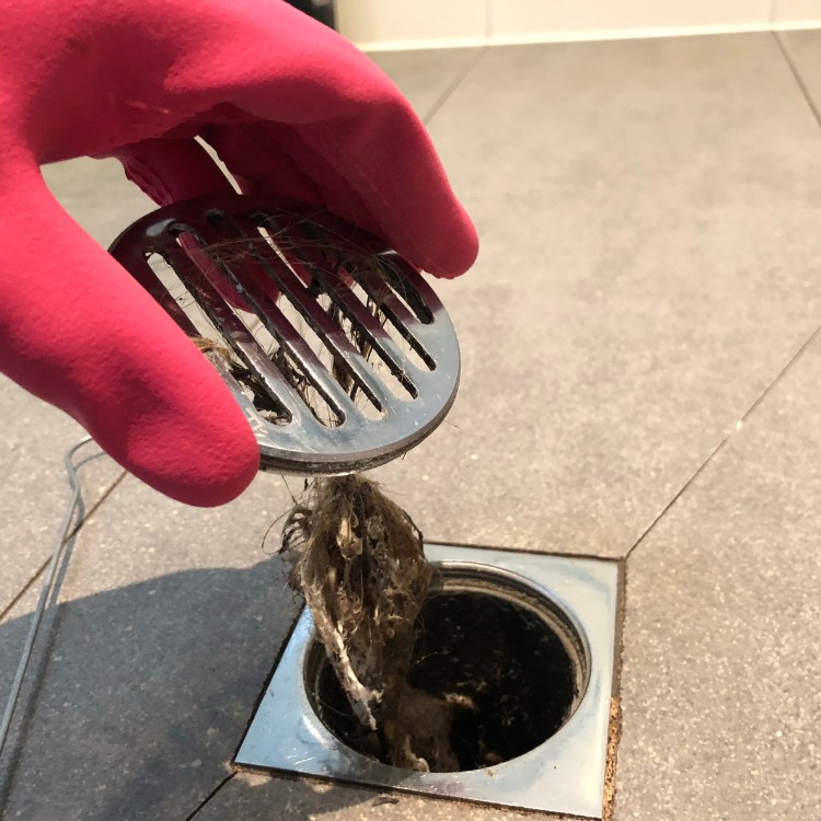 Just another WordPress site